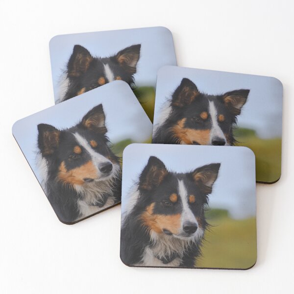 Item preview, Border Collie designed and sold by RONALD MACKENZIE.