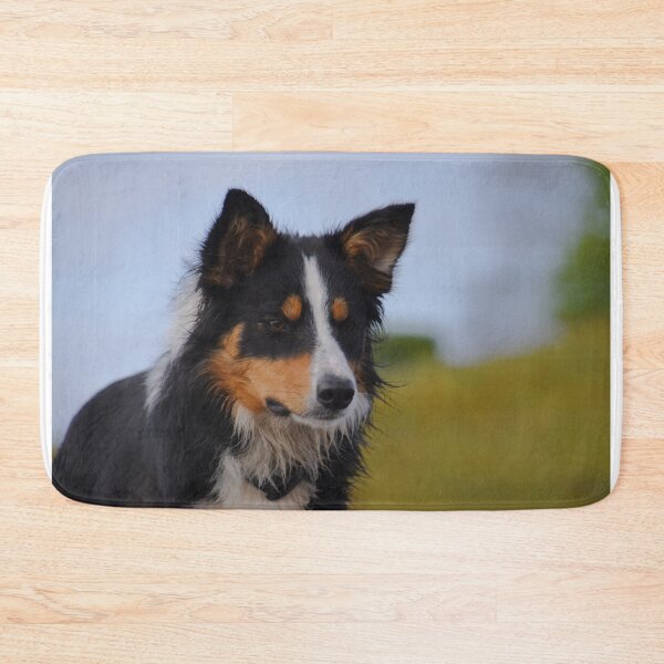 Item preview, Border Collie designed and sold by RONALD MACKENZIE.