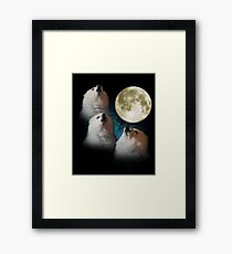 Gabe the Dog - Three Gabe Moon Framed Print
