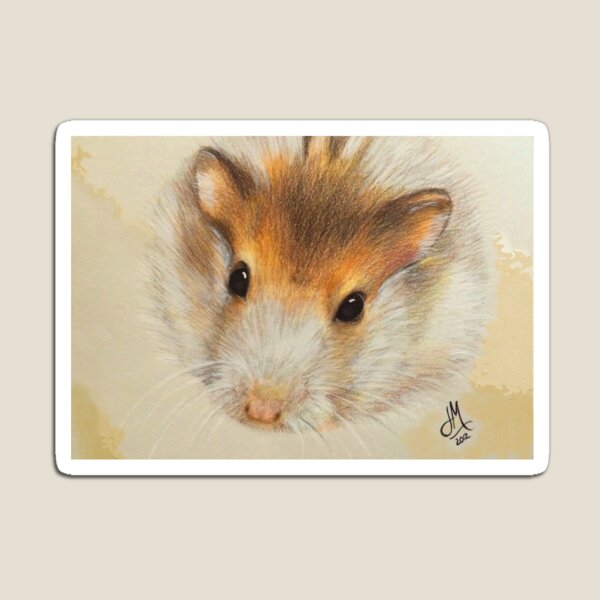 Bubba the Hamster Magnet