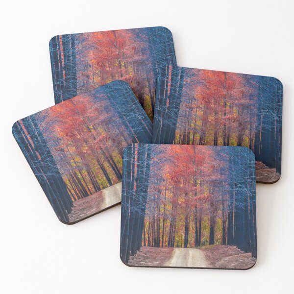 Item preview, Fire through the forest designed and sold by Penny Heighes.