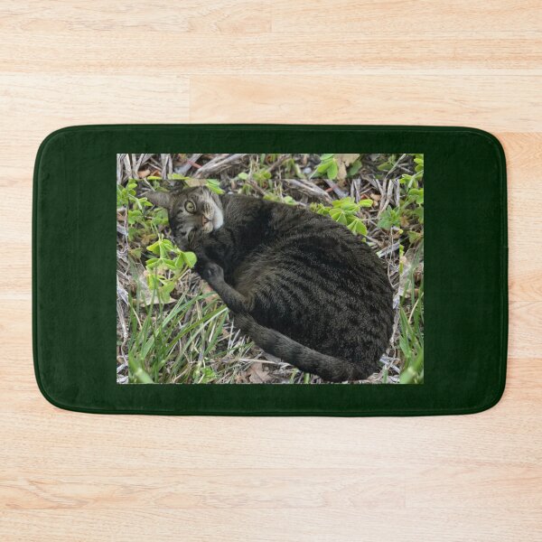 Item preview, Weird Little Tabby  designed and sold by Amanda1775.