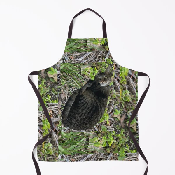 Item preview, Weird Little Tabby designed and sold by Amanda1775.