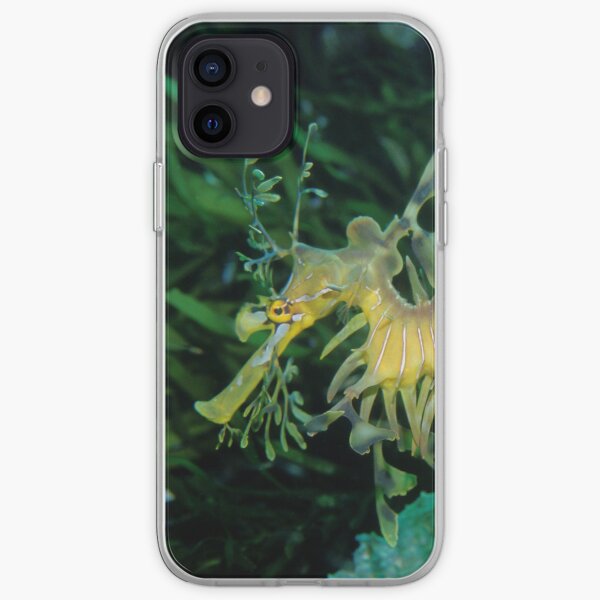 Leafy Seadragon iPhone Soft Case