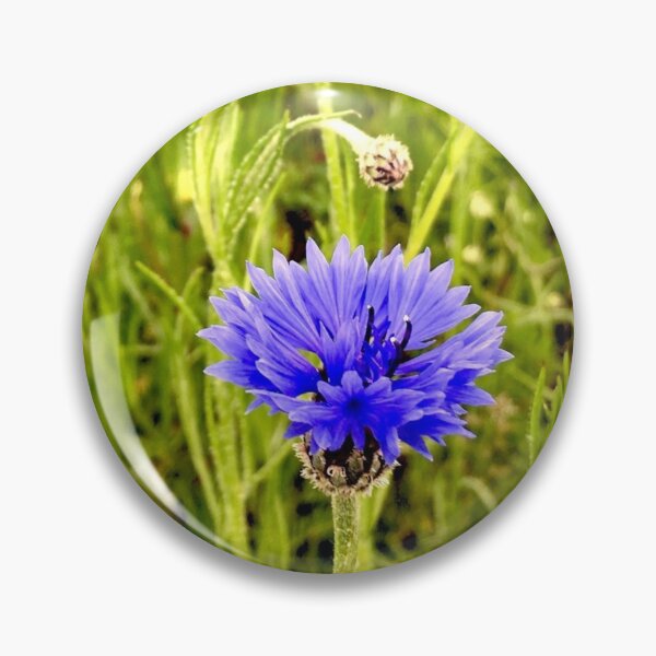 Item preview, Blue Cornflower on a Field designed and sold by KaSaPo.