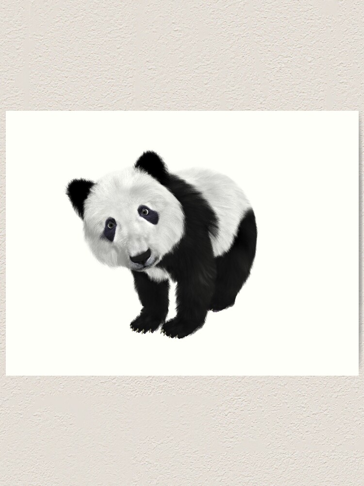 Art Vector - Drawings - Easy cartoon panda - 6 - 1 - 1 - 1 - 1 - 1 - 1 -  Design 1 - 1 - 1 - 1 - 1 - 1 - 1 - 1