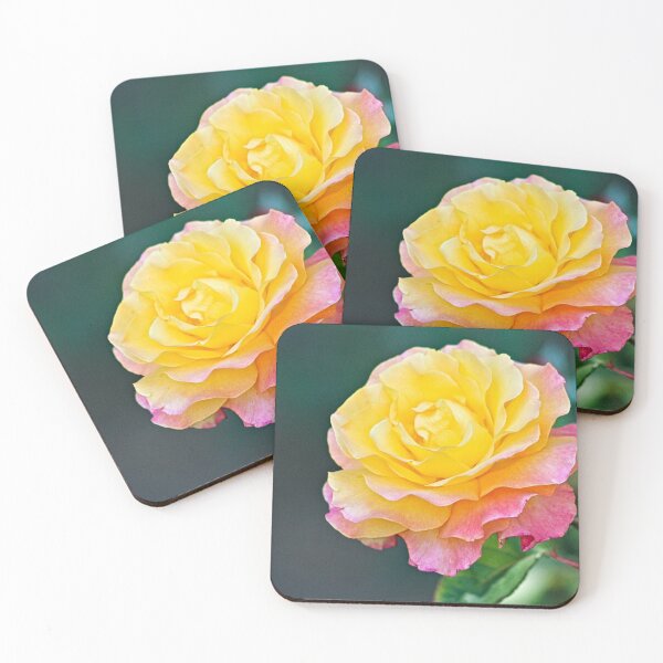 Item preview, Beautiful Molted Pink Yellow Rose Macro designed and sold by Anna Lemos.