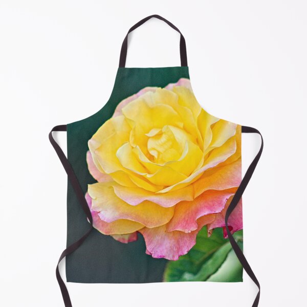 Item preview, Beautiful Molted Pink Yellow Rose Macro designed and sold by Anna Lemos.