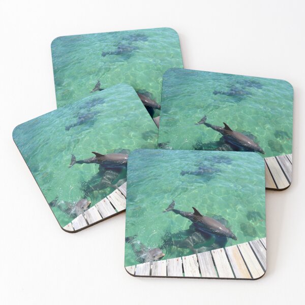 Item preview, Pod of Dolphins in Belize. designed and sold by YR-Collections.