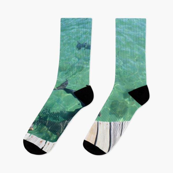 Item preview, Pod of Dolphins in Belize. designed and sold by YR-Collections.