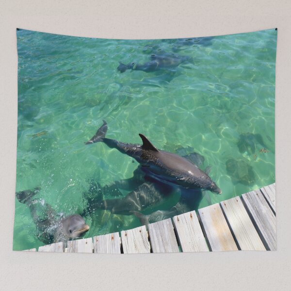Item preview, Pod of Dolphins in Belize. designed and sold by YR-Collections.
