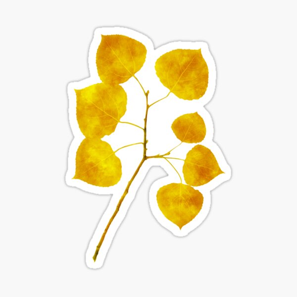 Item preview, Aspen Leaves designed and sold by Christina Rollo.