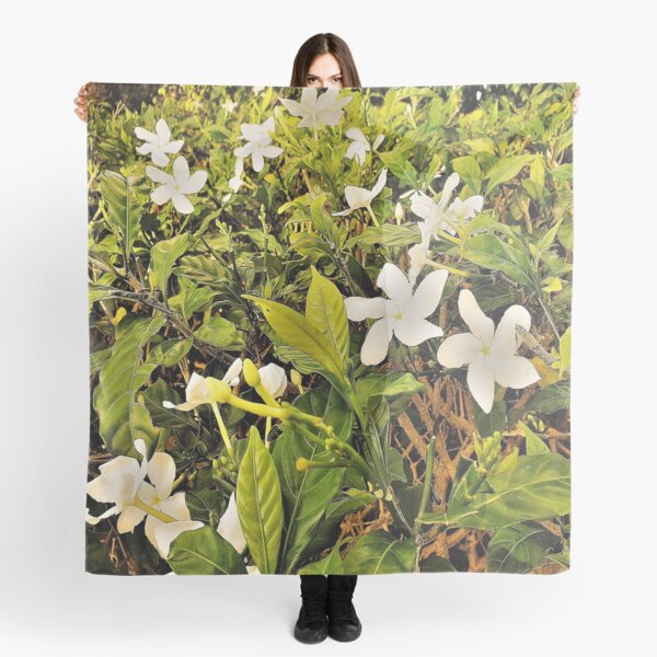 Aperçu de l'œuvre Belles fleurs blanches créée et vendue par YR-Collections.