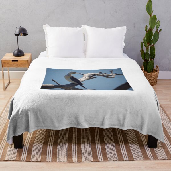 Item preview, Pied Cormorant designed and sold by D-GaP.
