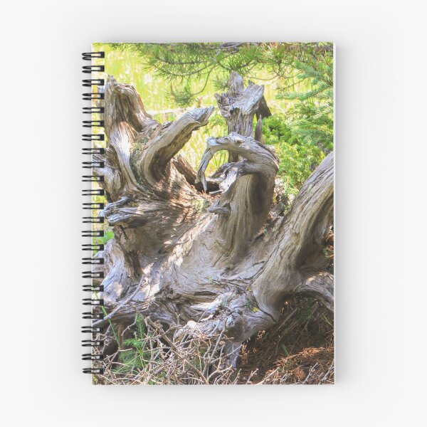 Item preview, Tree Remains designed and sold by Gary Horner.