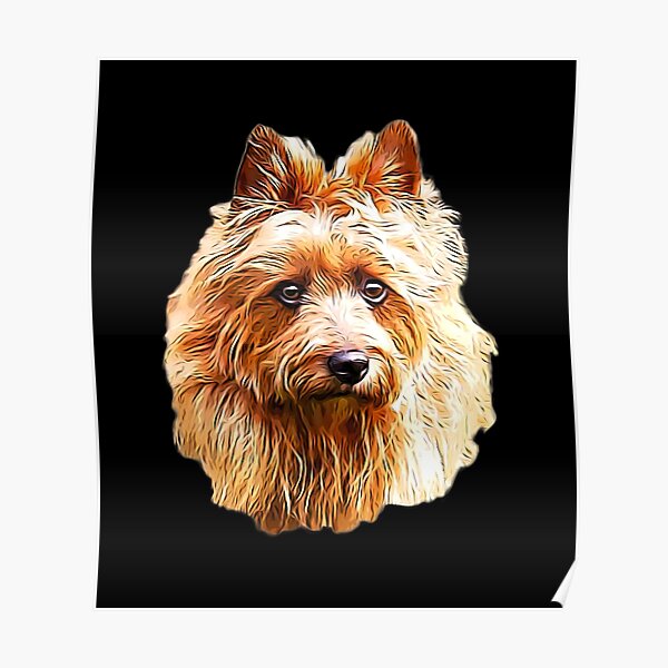 Australian Terrier Red Poster