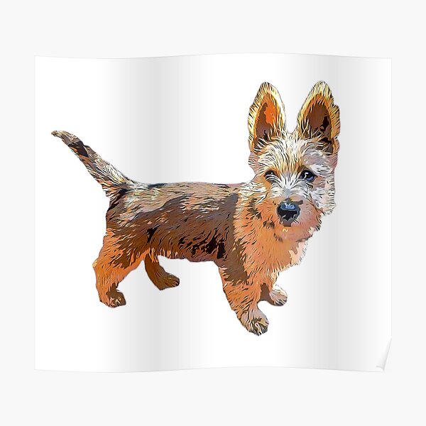 Australian Terrier Puppy Art Poster