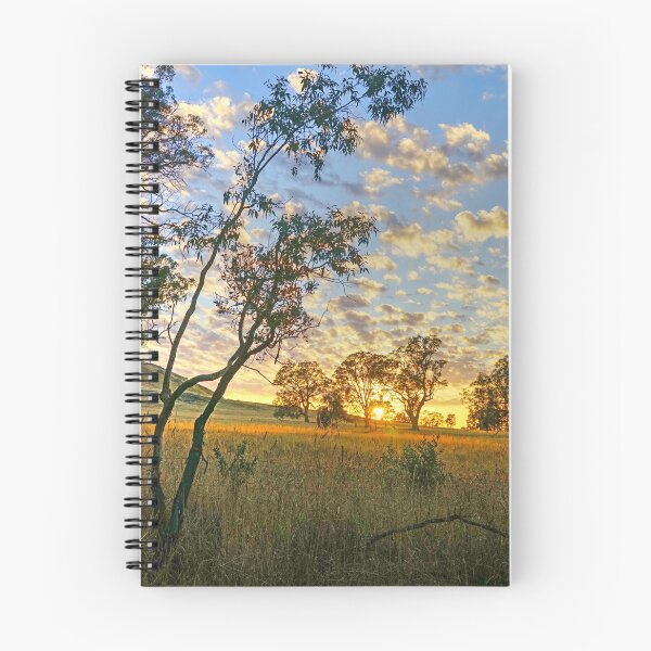 Item preview, Sedgwick Sunrise designed and sold by Harry Oldmeadow.