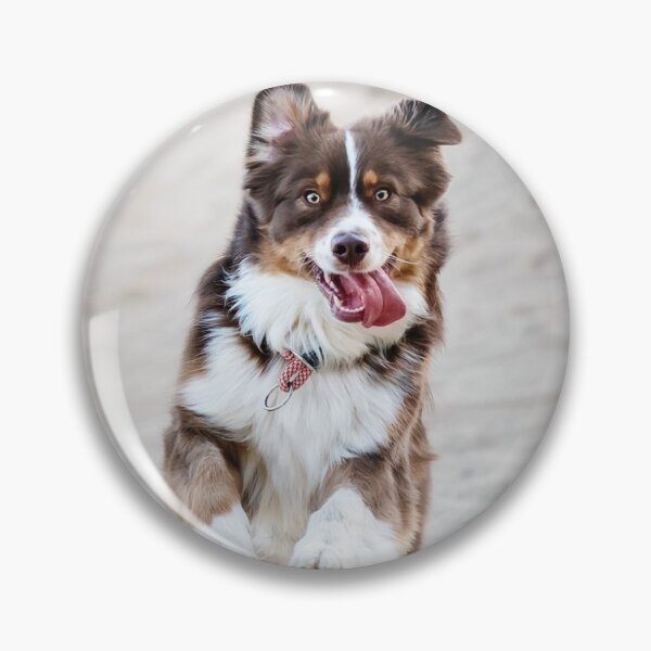 Item preview, mister dog designed and sold by tienda-BANDE.
