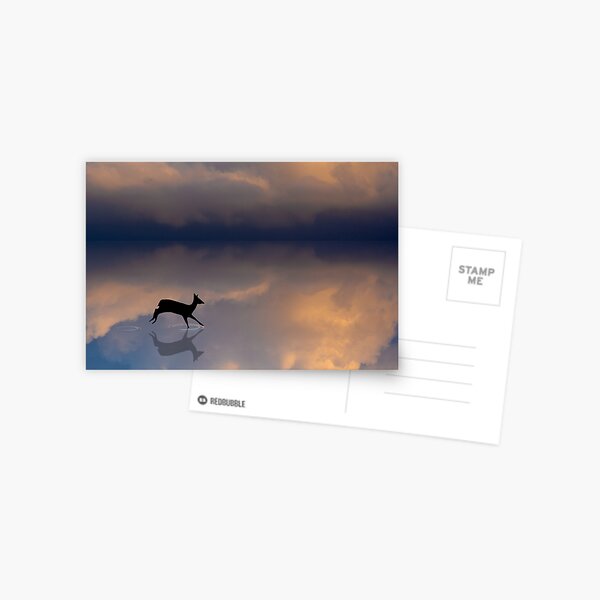 DEER IN THE STORM CLOUDS Postcard