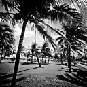 Miami Beach Morgen In Schwarz Weiss Poster Von Eyecbeauty Redbubble