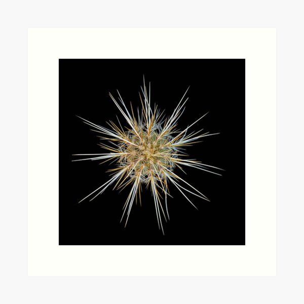 cacti 68 Art Print