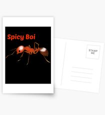 Spicy Boi Postcards