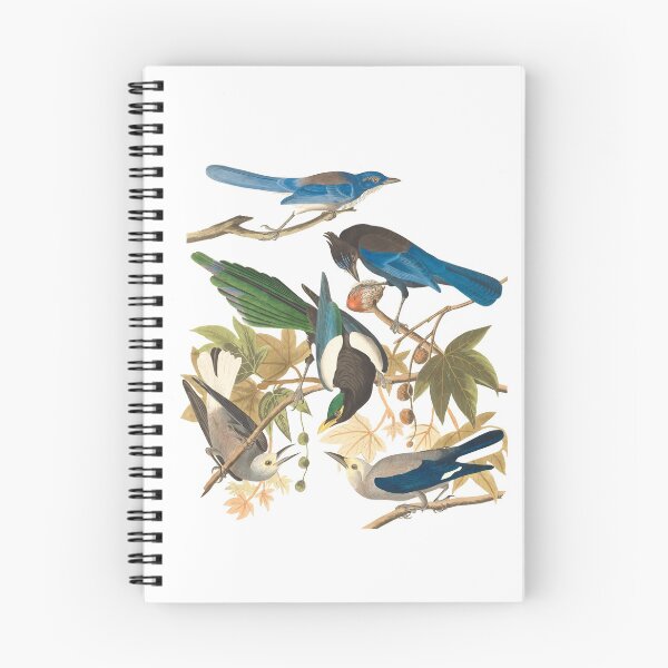 Item preview, Birds || Realistic  designed and sold by SofiaSeek.