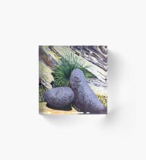 Two large rounded ROCKS * Acrylic Block