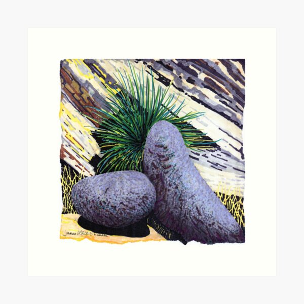 Item preview, Two large rounded ROCKS * designed and sold by James Lewis Hamilton.