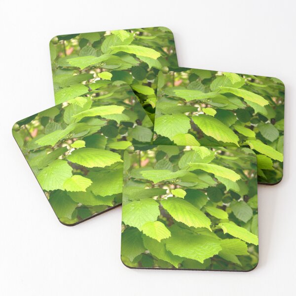 Item preview, Hazel tree designed and sold by Babbler01.