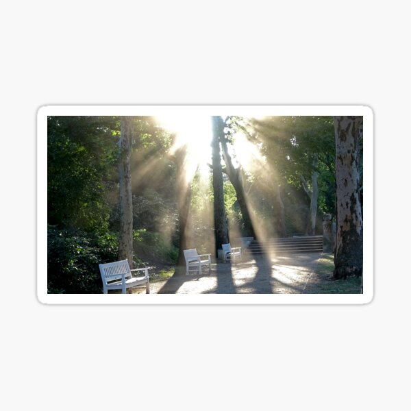 light Sticker