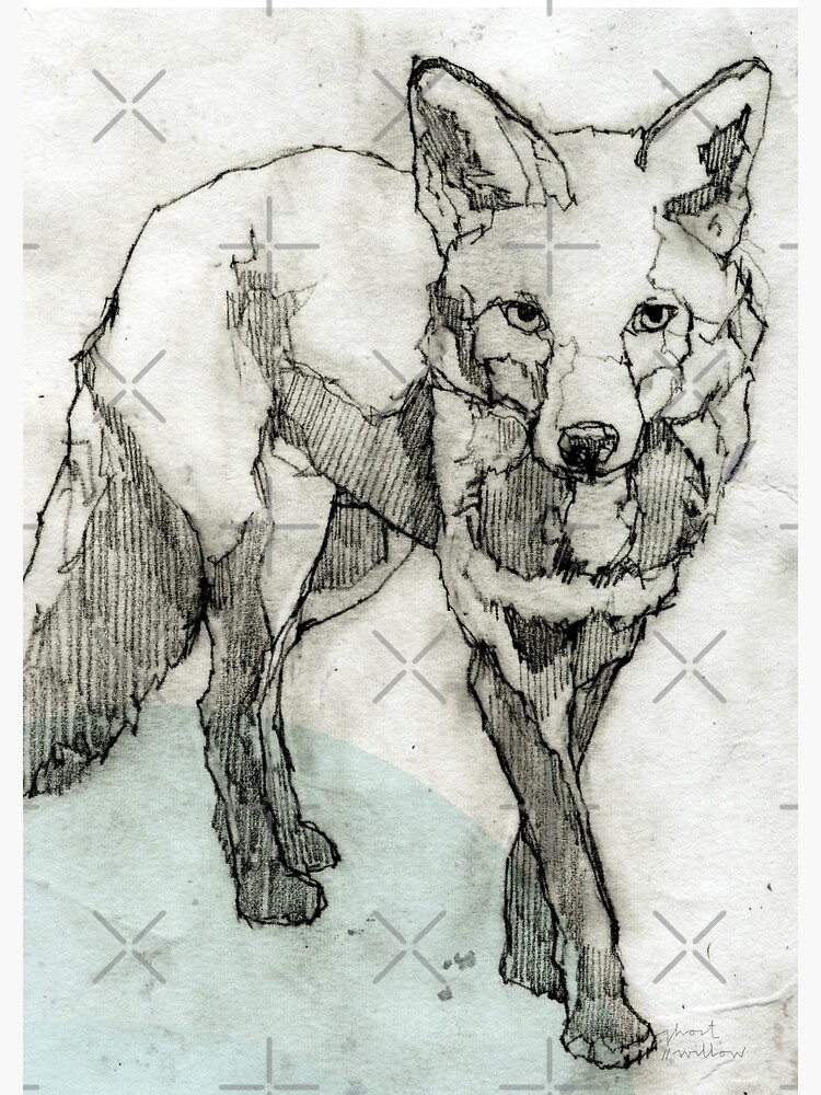 Fuchs Zeichnung von ghostwillow
