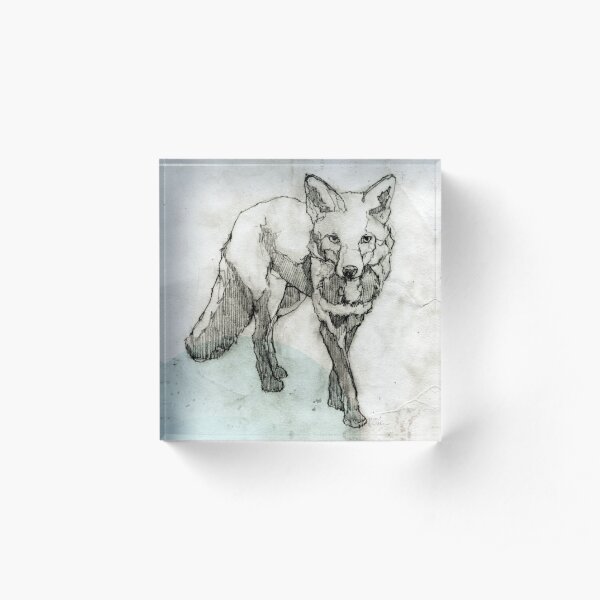 Fox drawing Acrylic Block