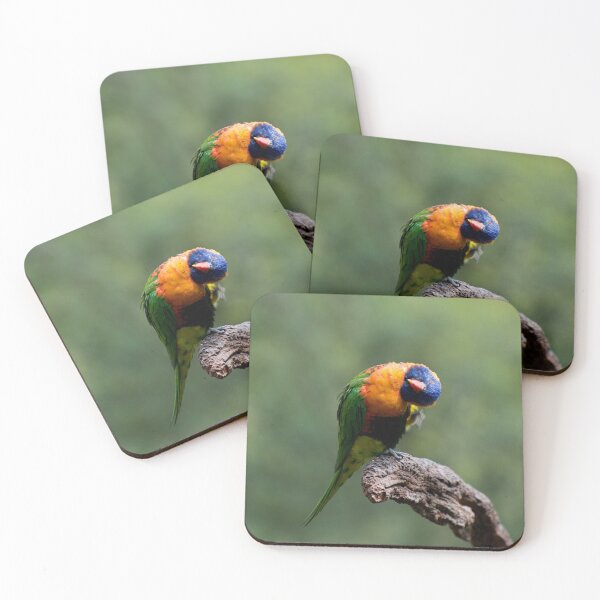 Item preview, Upside Down Lorikeet designed and sold by GP1746.