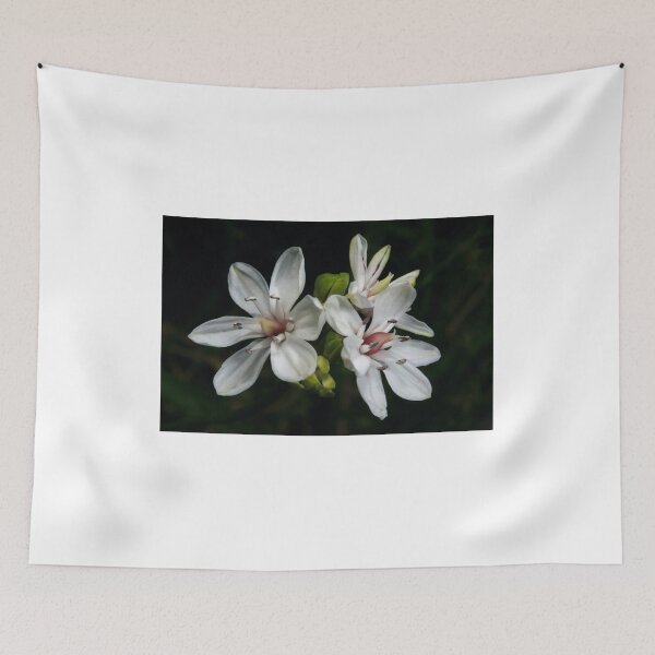 Item preview, Milkmaid Display designed and sold by GP1746.