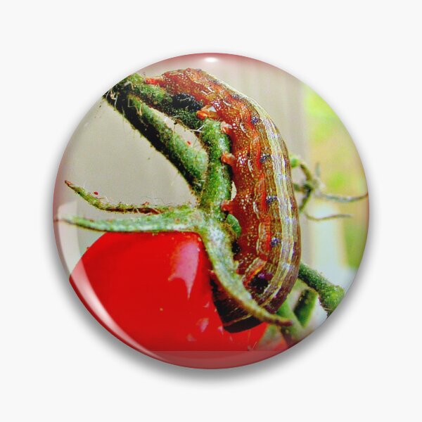 Item preview, Muncher designed and sold by Vince Scaglione.