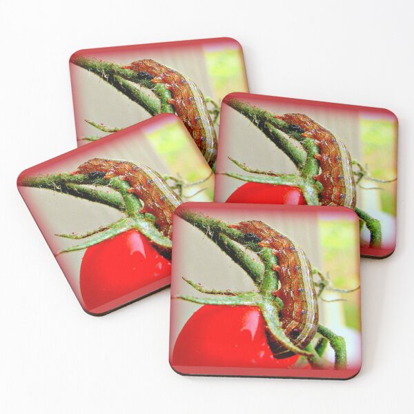 Item preview, Muncher designed and sold by Vince Scaglione.