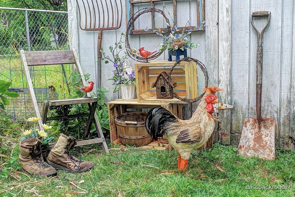 "When the Rooster Crows" by wiscbackroadz Redbubble