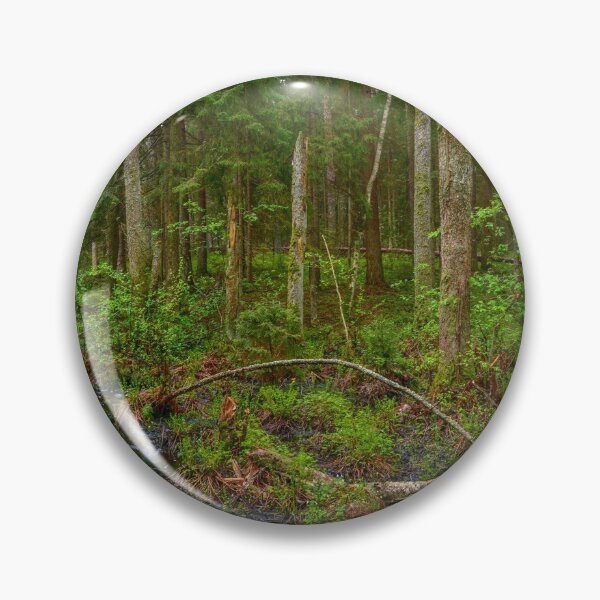 Item preview, Stream of flowing water in spring forest designed and sold by yarvin13.