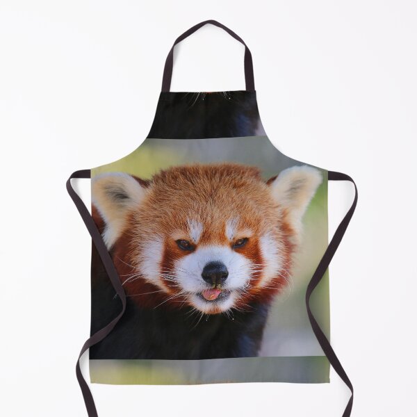 Item preview, Red Panda Stare designed and sold by Fearless-Fox.