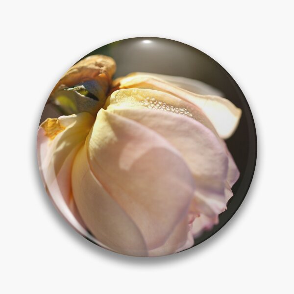 Item preview, Soft Pink Delicate Rose designed and sold by Joy Watson - Natural Light Photography .