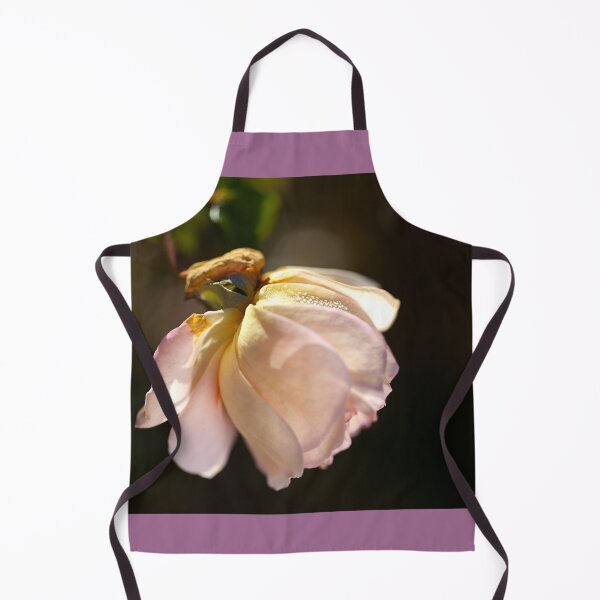Item preview, Soft Pink Delicate Rose designed and sold by Joy Watson - Natural Light Photography .