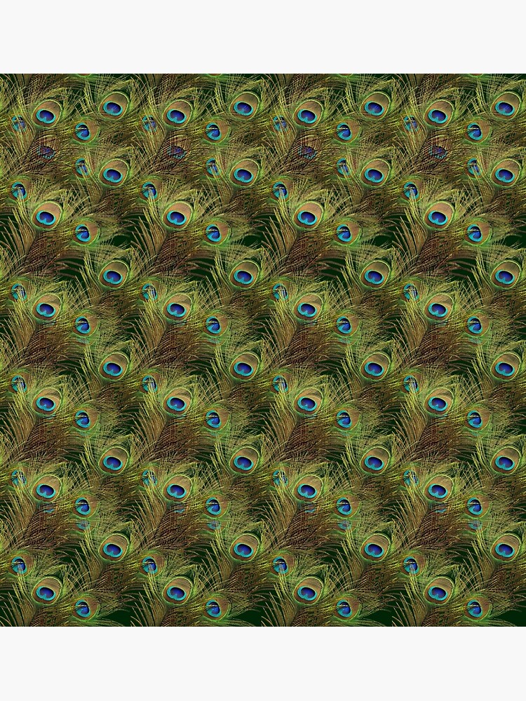 Peacock Feathers by vkdezine