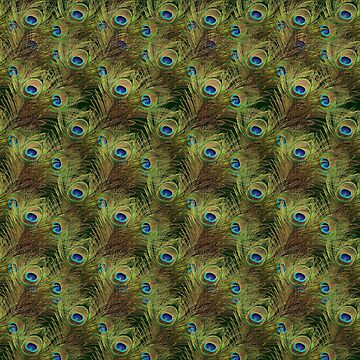 Artwork thumbnail, Peacock Feathers by vkdezine