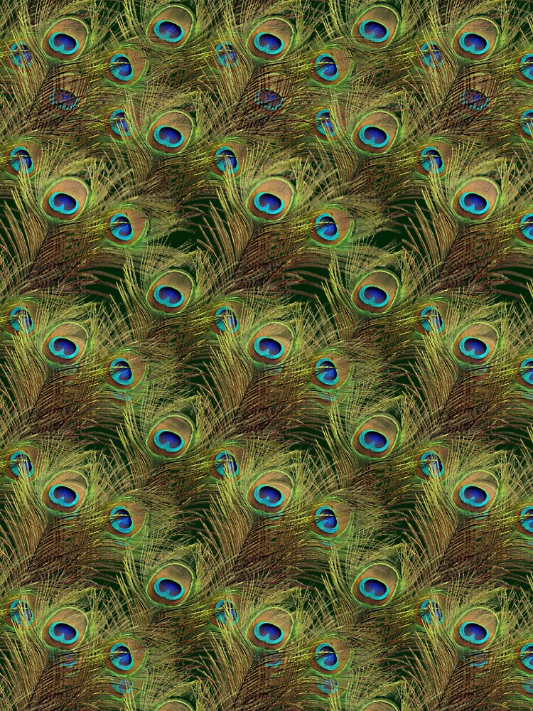 Peacock Feathers by vkdezine