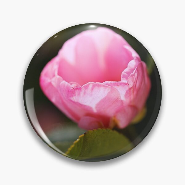 Item preview, The Graceful Camellia Sasanqua  designed and sold by Joy Watson - Natural Light Photography .