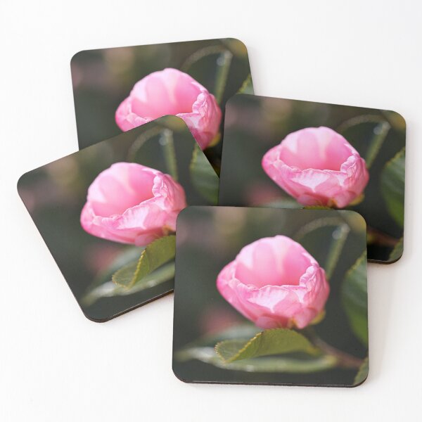 Item preview, The Graceful Camellia Sasanqua  designed and sold by Joy Watson - Natural Light Photography .