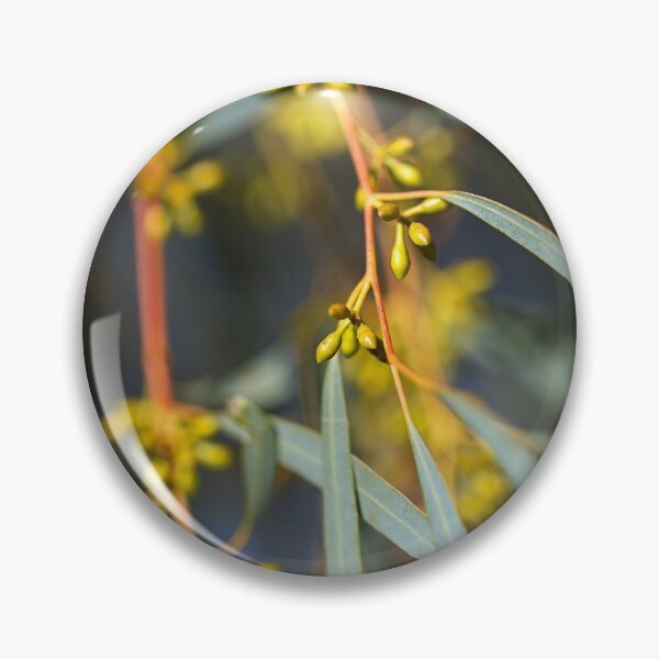 Item preview, Eucalyptus Small Yellow Buds designed and sold by Joy Watson - Natural Light Photography .
