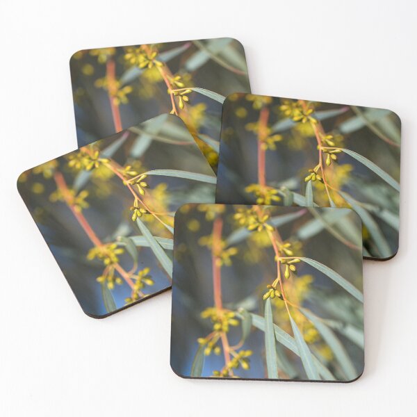 Item preview, Eucalyptus Small Yellow Buds designed and sold by Joy Watson - Natural Light Photography .